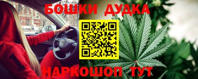 мяу мяу мука Гай