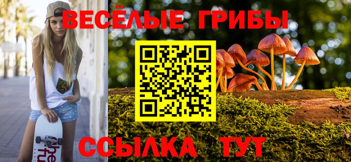 что такое   Галлюциногенные грибы мицелий  Псилоцибиновые грибы мицелий  Вход с VPN  Керчь 