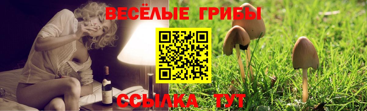 Псилоцибиновые грибы мицелий Керчь